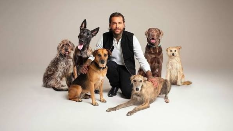 Pete Wicks Dogs: Names, Breeds, His Pets and For Dogs’ Sake TV Show