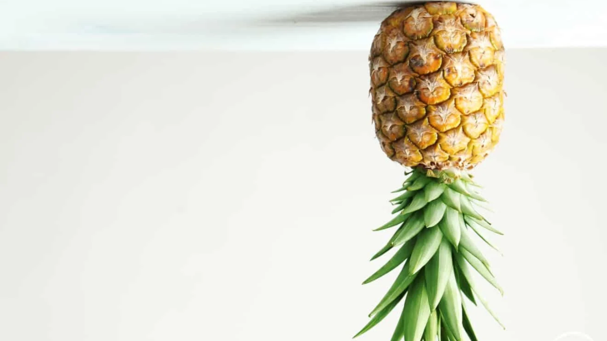 Upside Down Pineapple Meaning: What It Really Means and Why